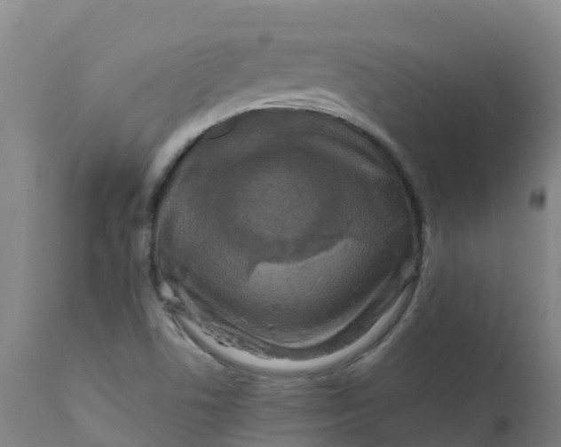 X0000111811506200908131447