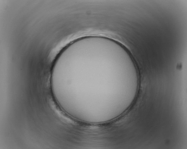X0000111811507200908131447