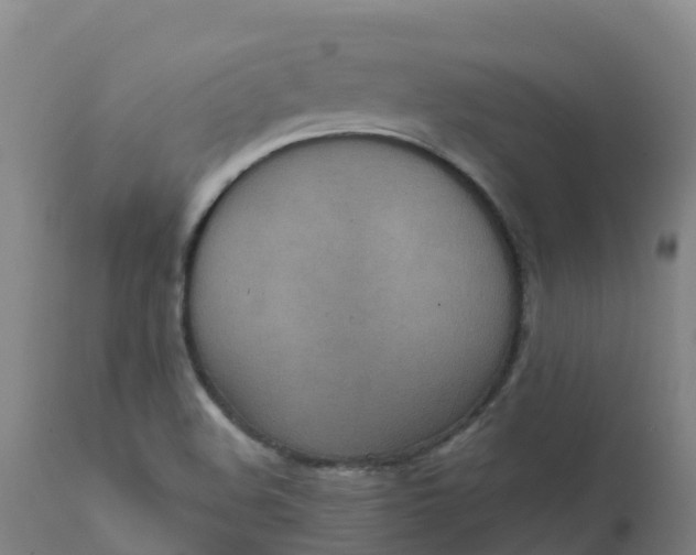 X0000111811508200908131447