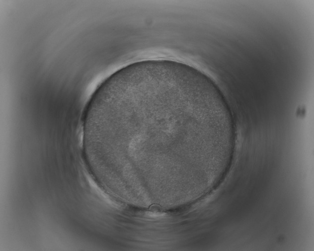 X0000111811509200908131447