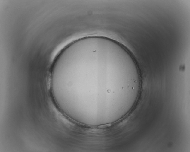 X0000111811510200908131447