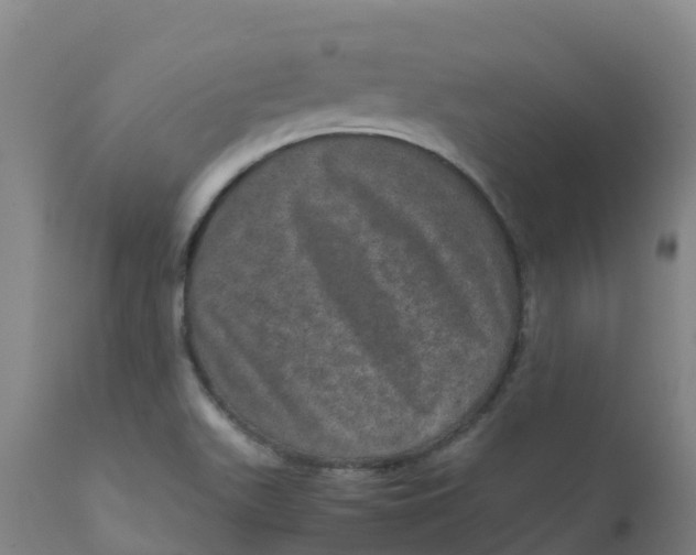 X0000111811511200908131447