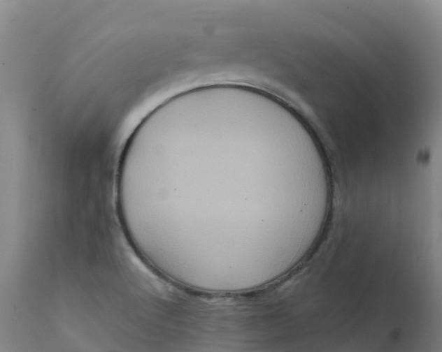X0000111811512200908131447