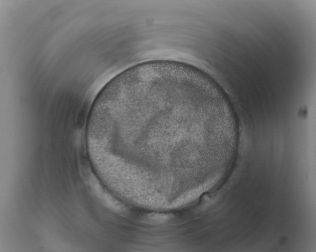 X0000111811513200908131447