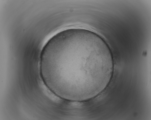 X0000111811514200908131447