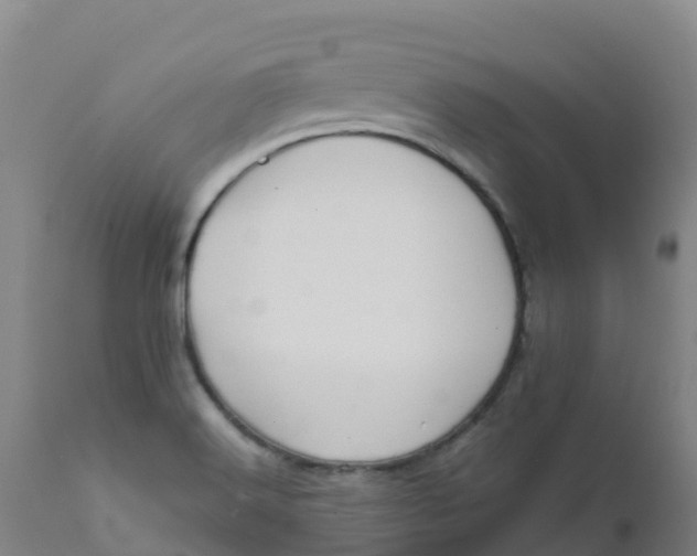 X0000111811516200908131447