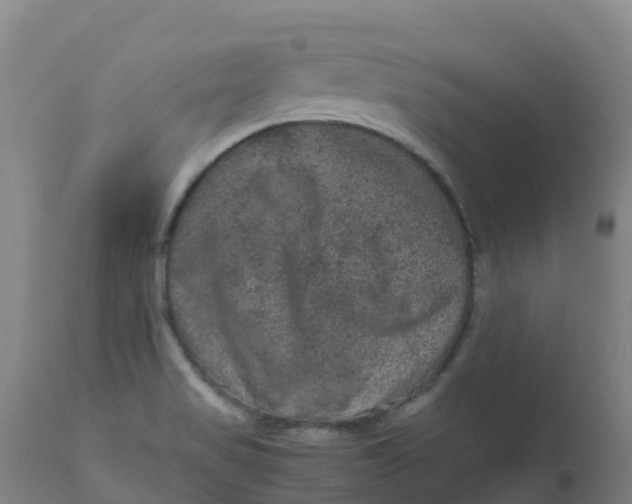 X0000111811517200908131447