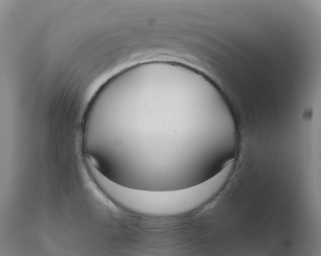 X0000111811518200908131447
