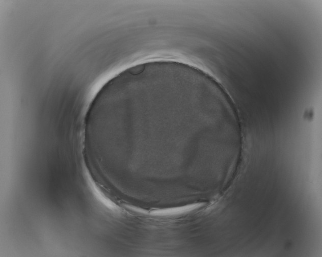 X0000111811519200908131447