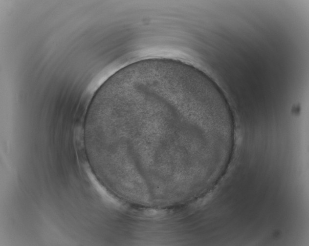 X0000111811521200908131447