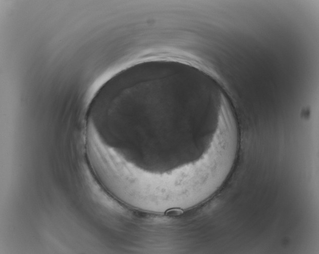 X0000111811522200908131447