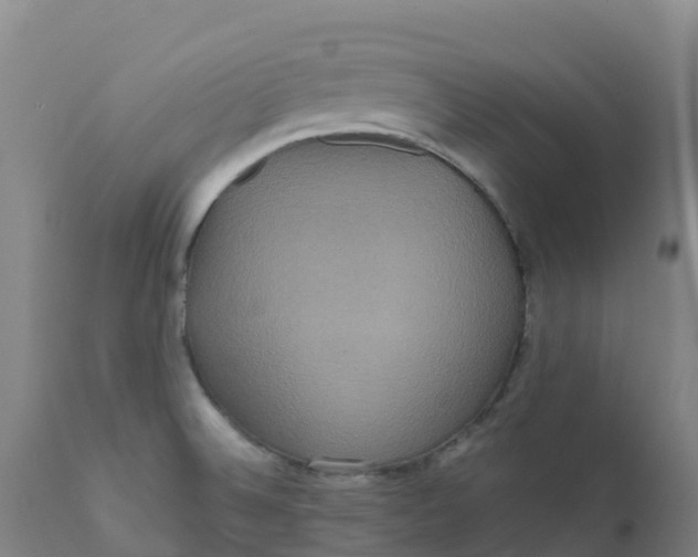 X0000111811524200908131447