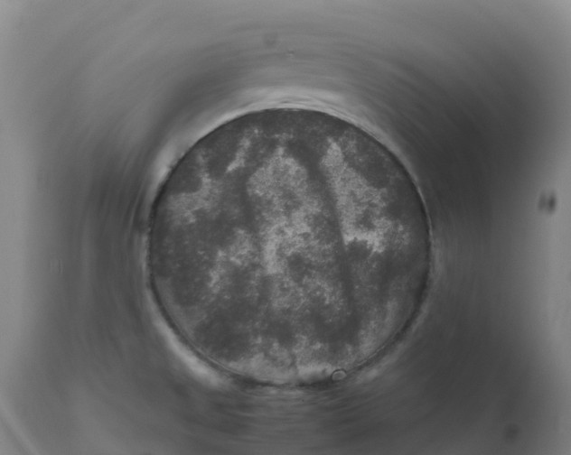 X0000111811525200908131447