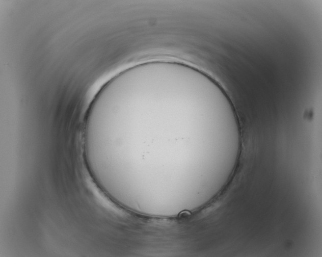 X0000111811526200908131447