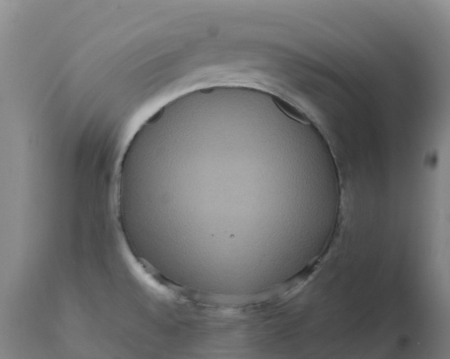 X0000111811528200908131447