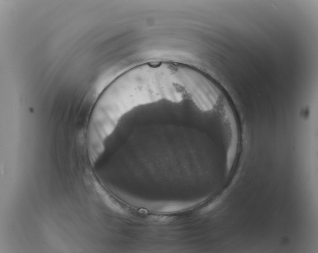 X0000111811529200908131448