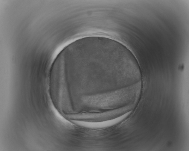 X0000111811531200908131448
