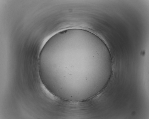 X0000111811532200908131448