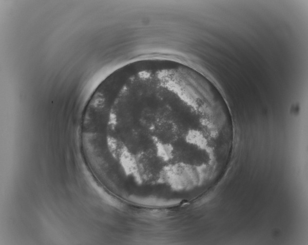 X0000111811533200908131448