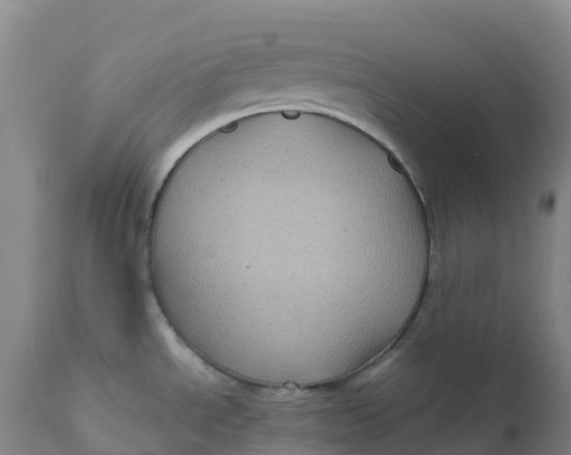 X0000111811534200908131448