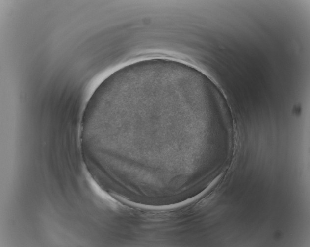 X0000111811535200908131448