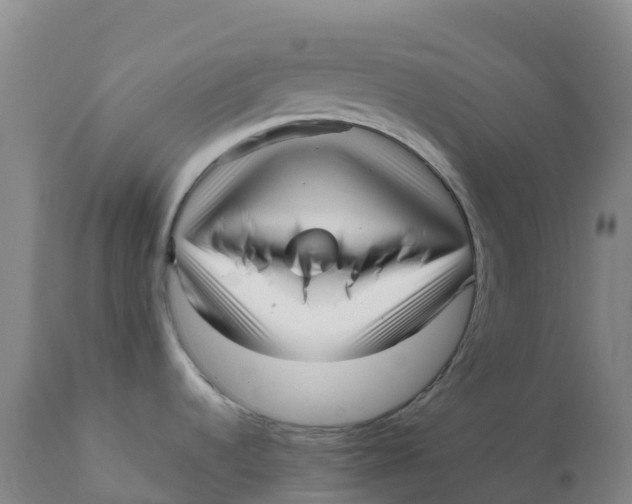 X0000111811536200908131448