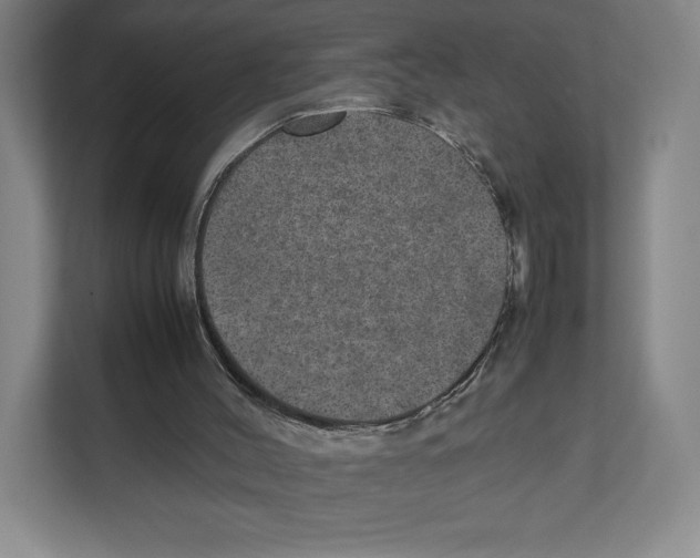 X0000111810004200908201120