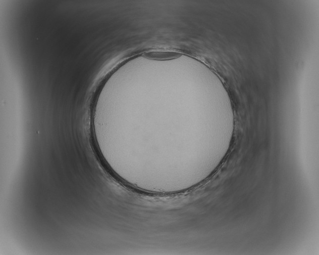 X0000111810005200908201120