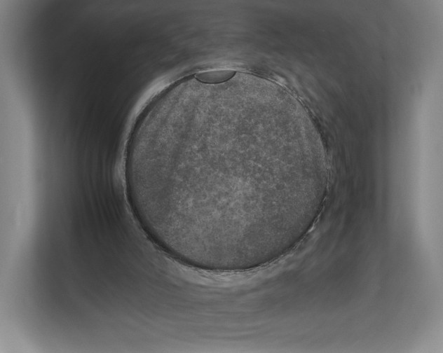 X0000111810006200908201120