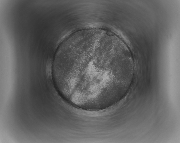 X0000111810010200908201120