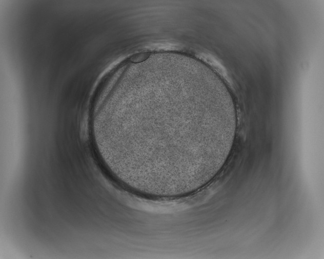 X0000111810012200908201120