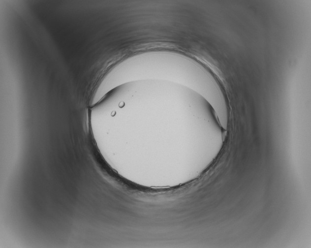 X0000111810013200908201120