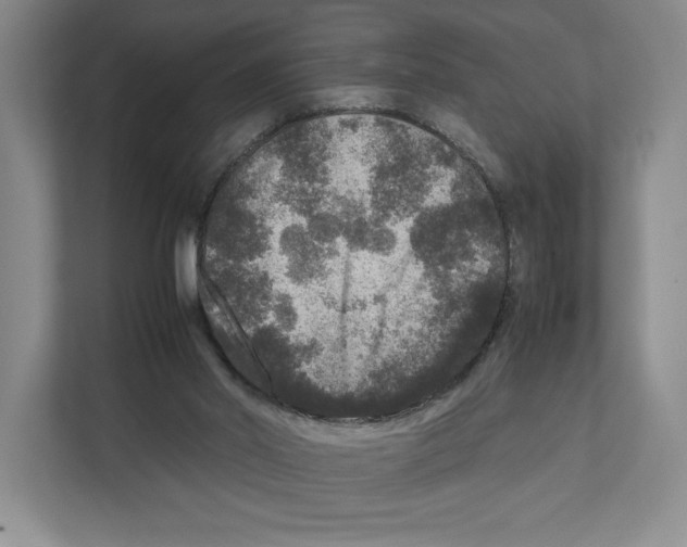 X0000111810014200908201120