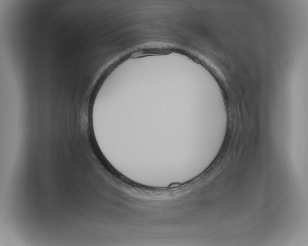 X0000111810015200908201120