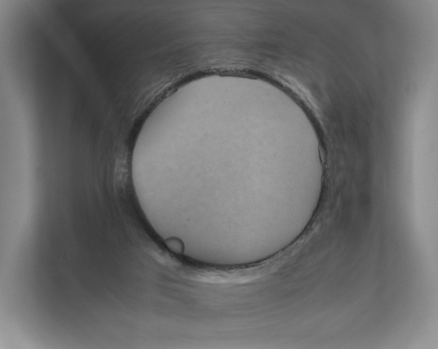 X0000111810017200908201120