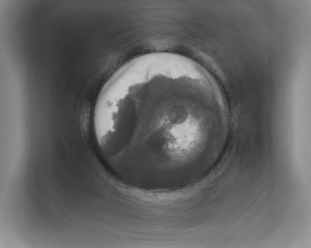 X0000111810018200908201120