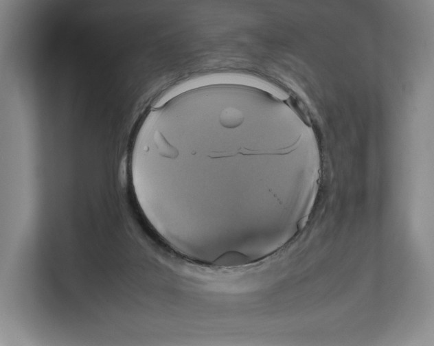 X0000111810019200908201120