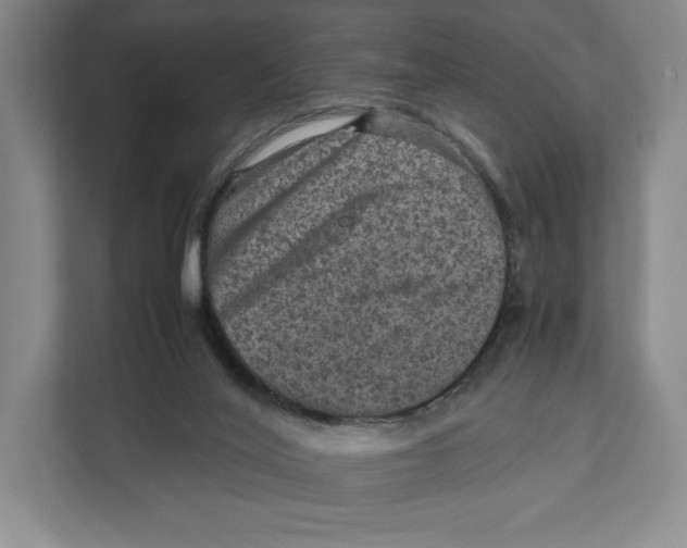 X0000111810020200908201120