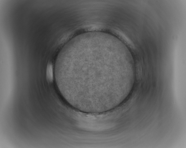 X0000111810022200908201119