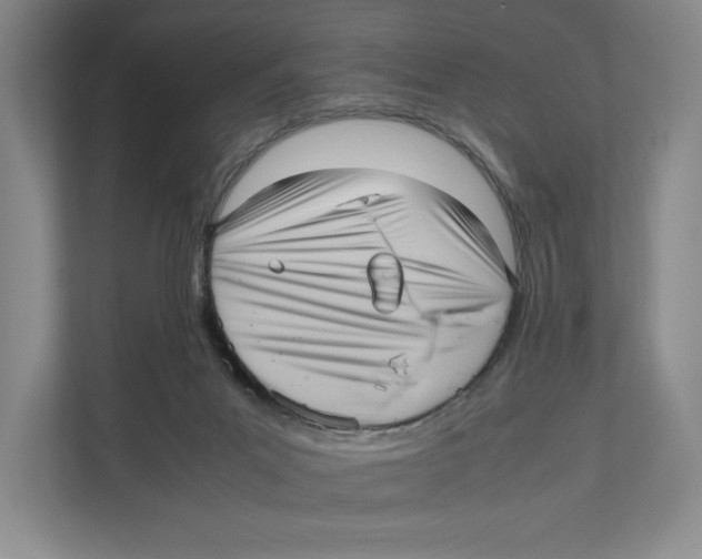 X0000111810023200908201119