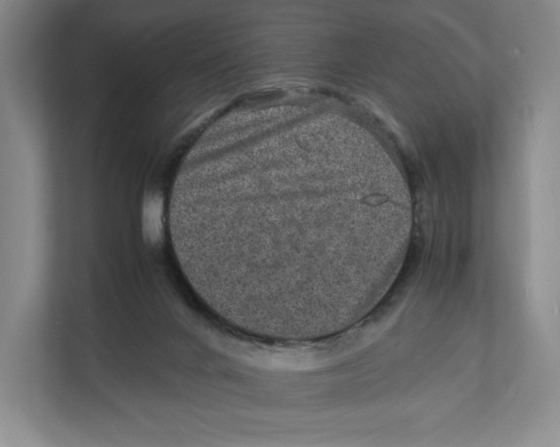 X0000111810024200908201119