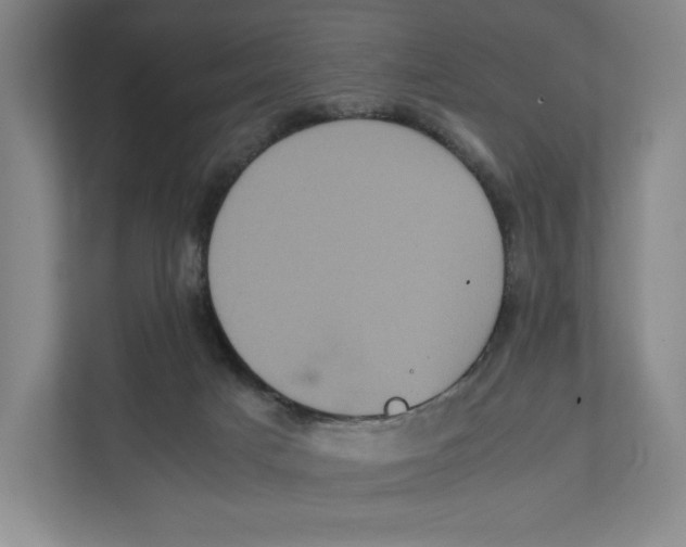 X0000111810025200908201119