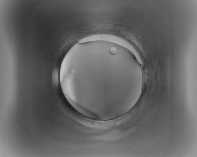 X0000111810027200908201119