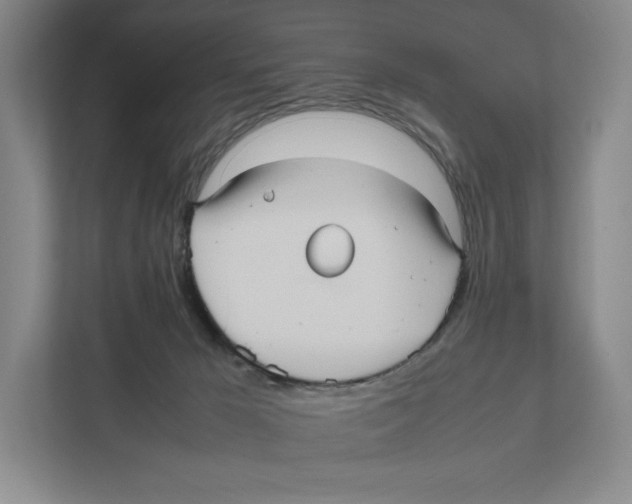 X0000111810029200908201119