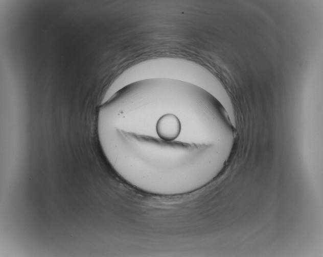 X0000111810033200908201119