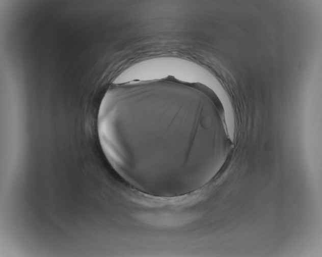 X0000111810035200908201119