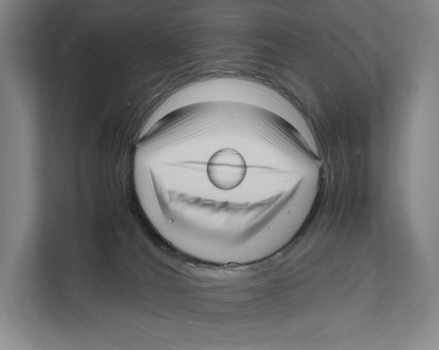 X0000111810036200908201119