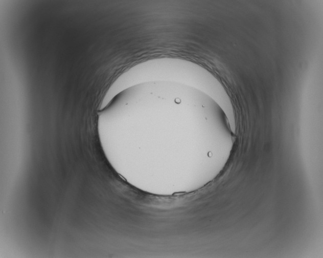 X0000111810037200908201119