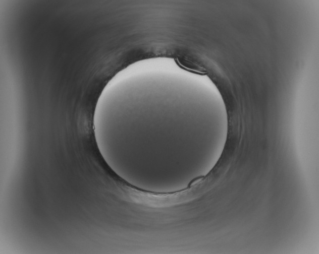 X0000111810039200908201119