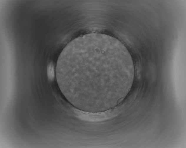 X0000111810042200908201119